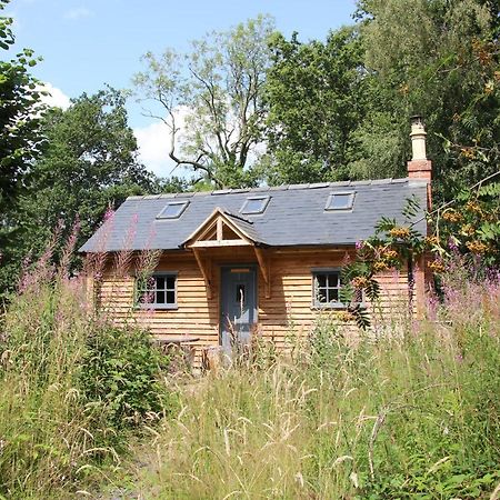 Dairy Cottage Σριούσμπερι Εξωτερικό φωτογραφία